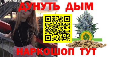 jwh Ставрополь