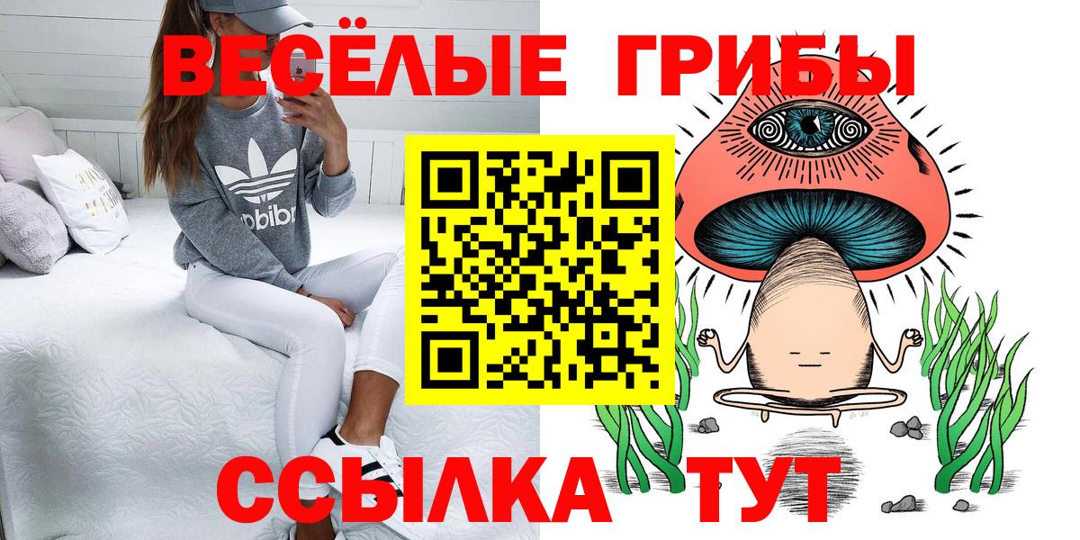 Орск  Галлюциногенные грибы ЛСД  Вход с VPN 