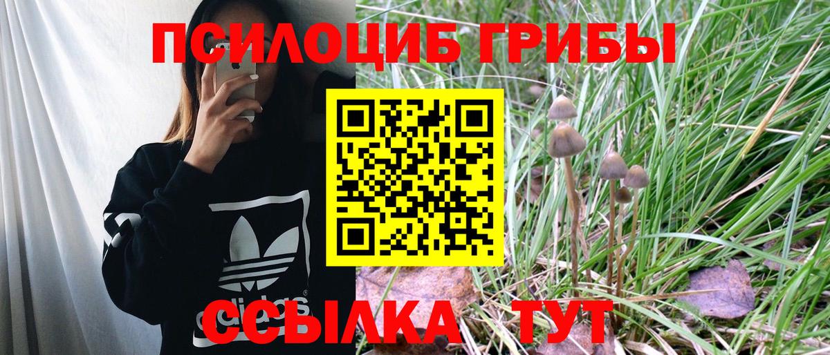 Псилоцибиновые грибы прущие грибы Орск
